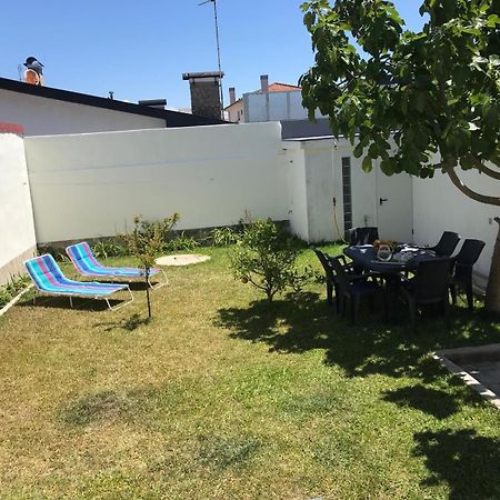 Arvore Cozy Com Jardim المظهر الخارجي الصورة