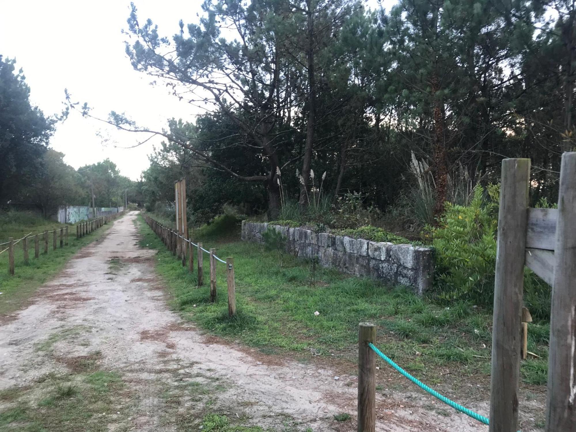 Arvore Cozy Com Jardim المظهر الخارجي الصورة